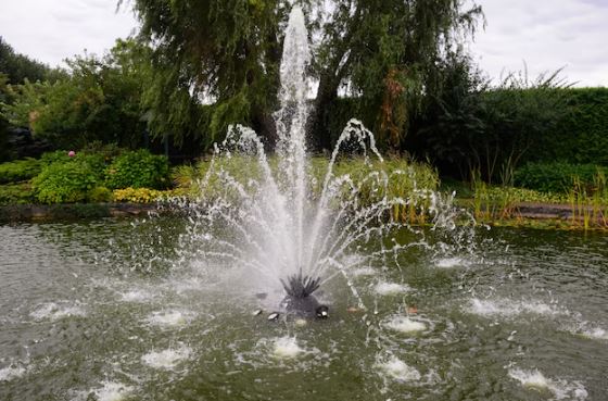 Five Common Mistakes to Avoid When Installing Fountain Pumps